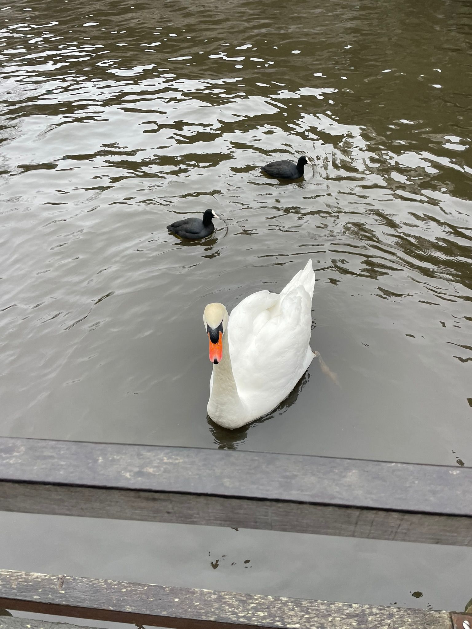 Sint-Martinus den XIIde - Winterkamp JVK 2024